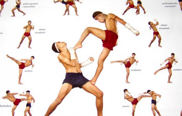 Уроки бокса в домашним