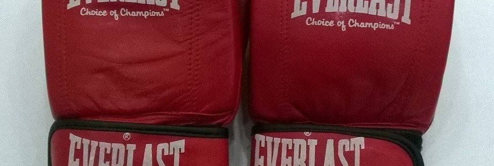 Снарядные Перчатки Everlast